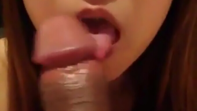 Een Lekkere Pov Blowjob